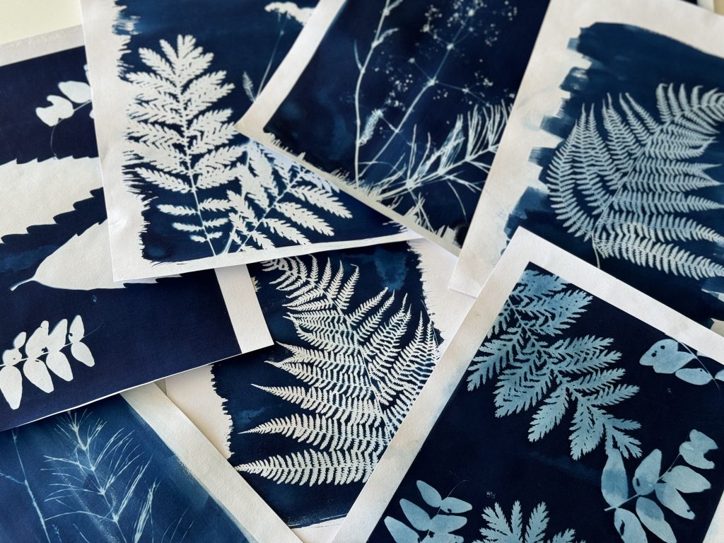 Tenee Kit cyanotype, sensibilisateur cyanotype pour impression solaire, sensibilisateur idéal pour les débutants et les artistes Tenee Kit cyanotype, sensibilisateur cyanotype pour impression solaire, sensibilisateur idéal pour les débutants et les artistes