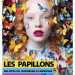Festival les Papillons