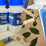 Cyanotype : l’art de peindre avec la lumière